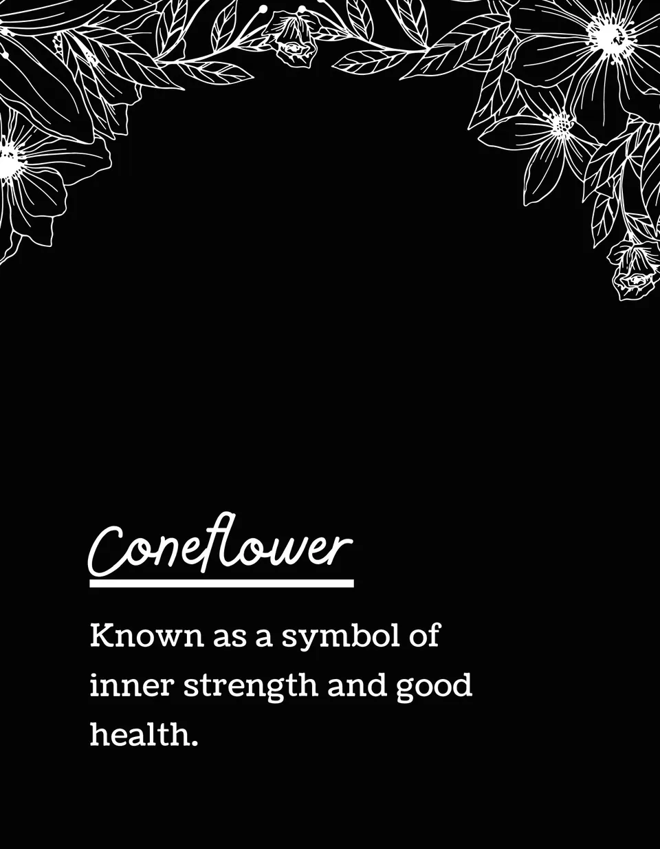 Flower name & meaning — 50 Meadow Flowers